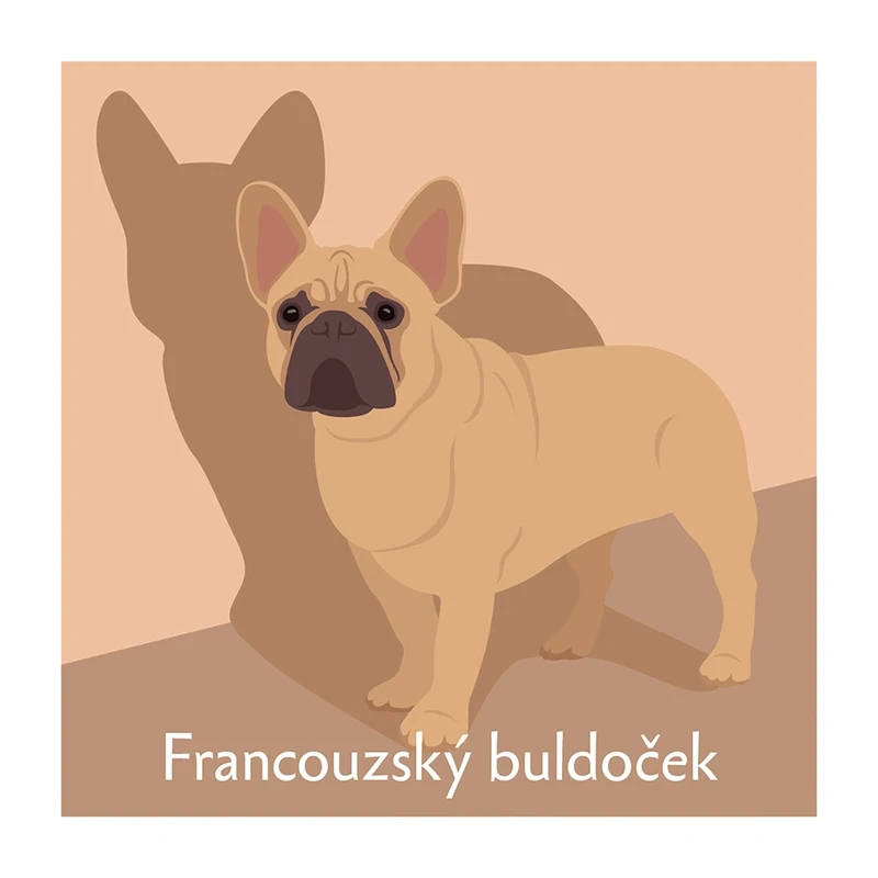 Pexeso Psi: motiv francouzského buldočka